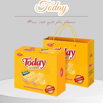 Bánh mềm Today kem việt quất phủ phomai hộp 416g
